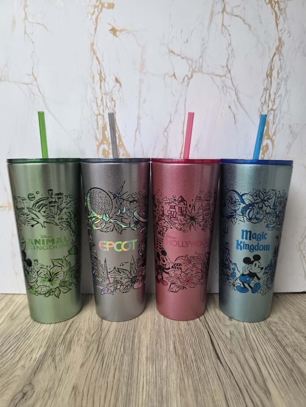 Disney Starbucks Disneyworld Tumbler with Straw Full Collection